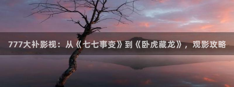 yy4480看吧：777大补影视：从《七七事变》到《卧虎藏龙》，观影攻略