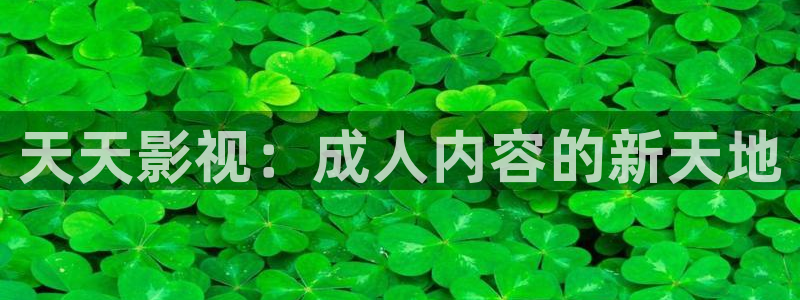 yy4480影院伦理：天天影视：成人内容的新天地