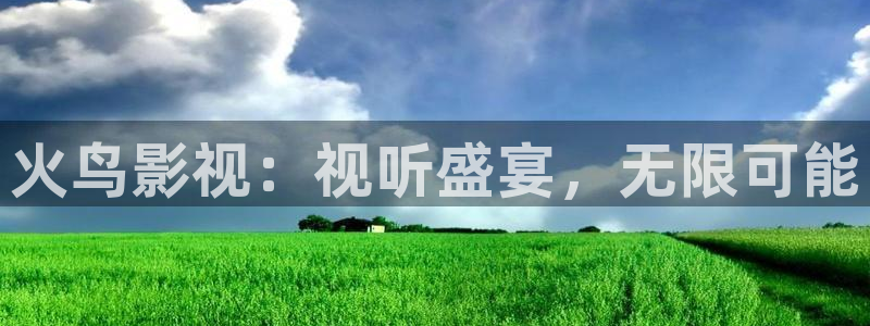 yy4480.com：火鸟影视：视听盛宴，无限可能