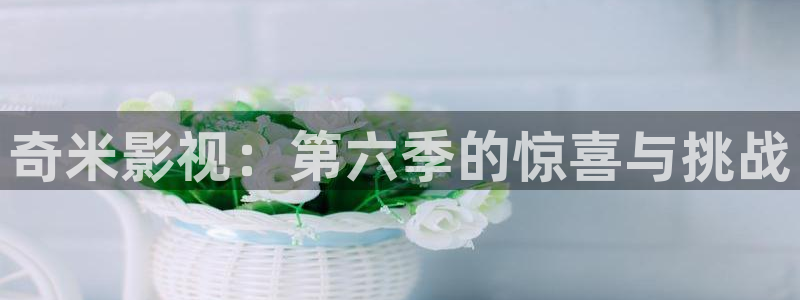 yy4480电视剧免费在线看：奇米影视：第六季的惊喜与挑战