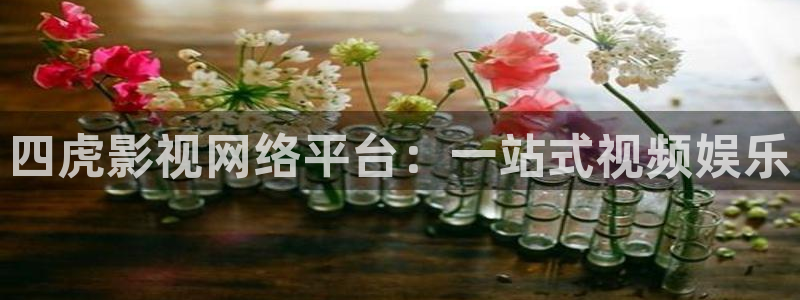 wwyy4480：四虎影视网络平台：一站式视频娱乐
