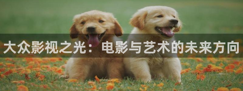yy4480新视觉影院伦理：大众影视之光：电影与艺术的未来方向