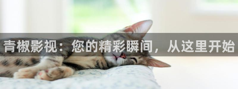 yy4480私人影院免费观看：青椒影视：您的精彩瞬间，从这里开始